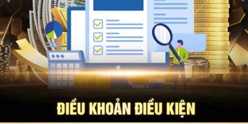 Giải đáp vấn đề về điều khoản điều kiện